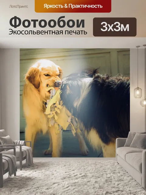Фотообои Собаки
