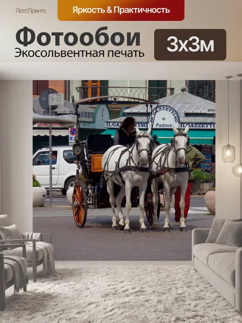 Фотообои Падуя