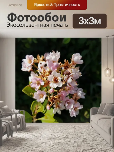 Фотообои Маленькие розовые цветы