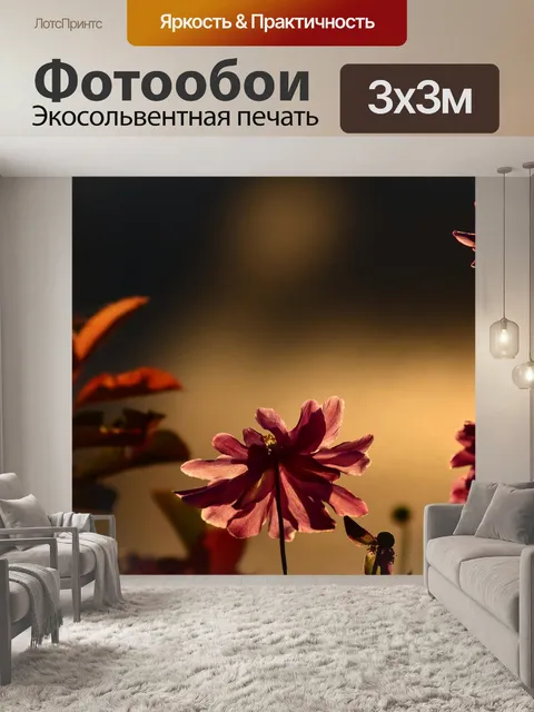 Фотообои Анемон