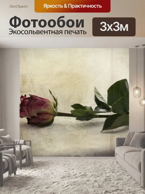Фотообои роза
