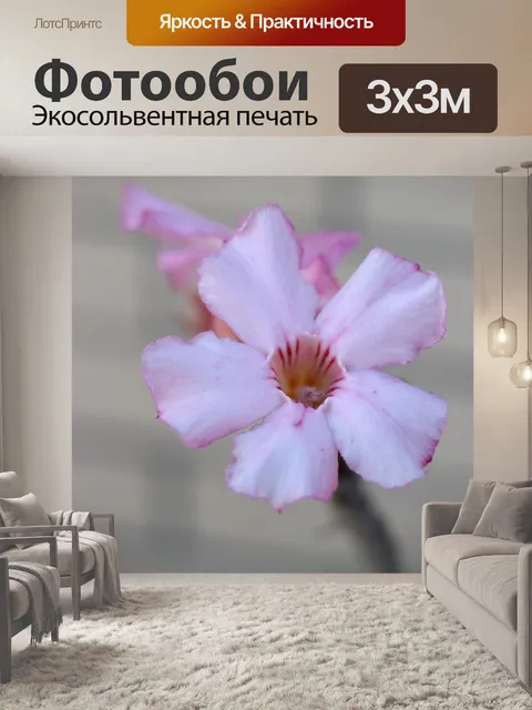 Фотообои Розовый цветок
