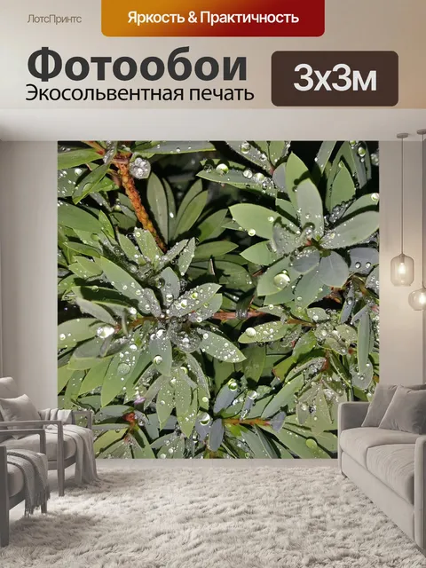 Фотообои Листья