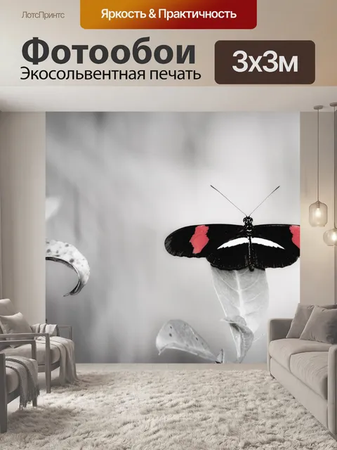 Фотообои Бабочка