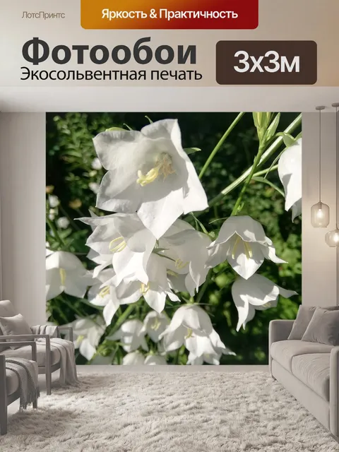 Фотообои Цветы