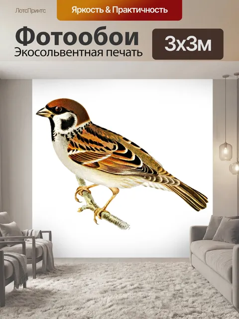 Фотообои Древесный воробей