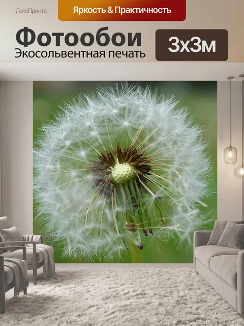 Фотообои Цветы