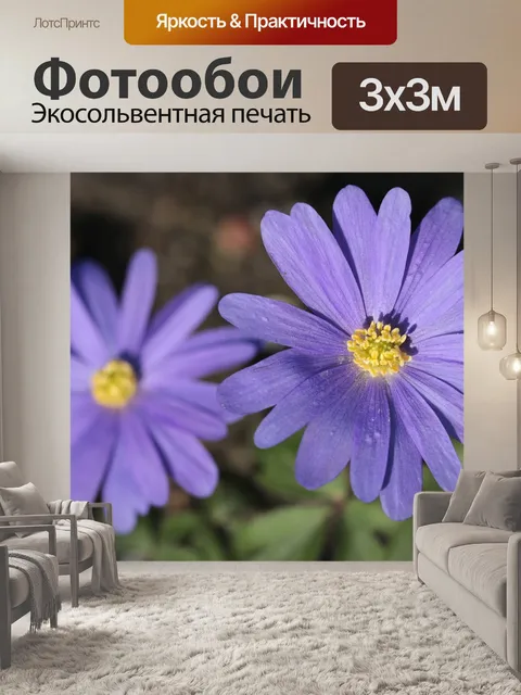 Фотообои Анемон