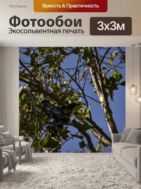 Фотообои Две вороны в дереве