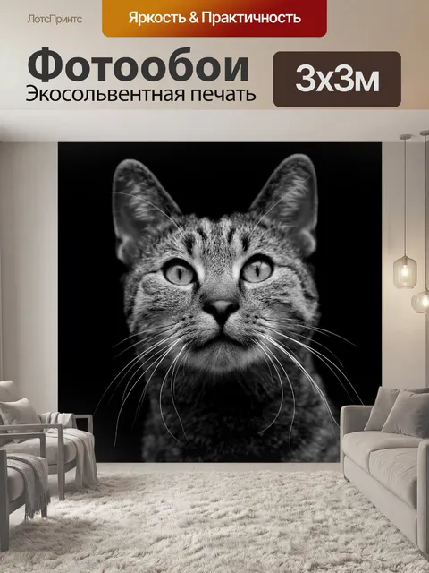 Фотообои Кошка