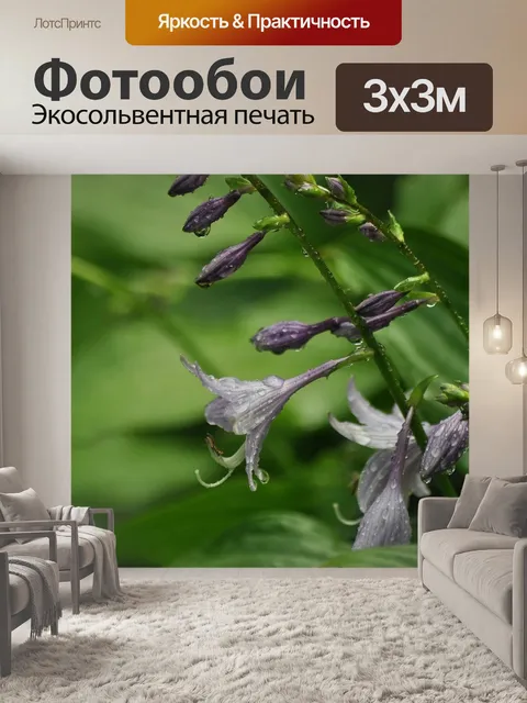 Фотообои Цветы