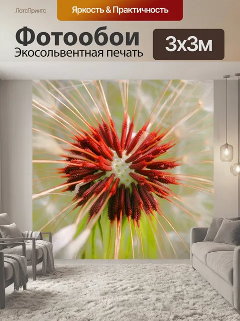 Фотообои Природа