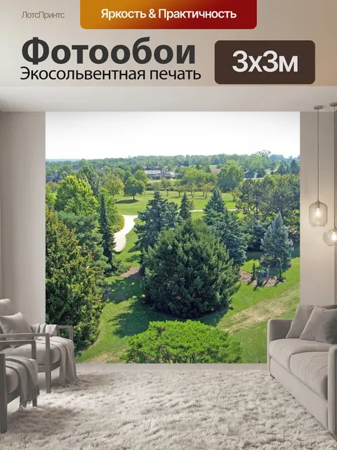 Фотообои Деревьев в парке