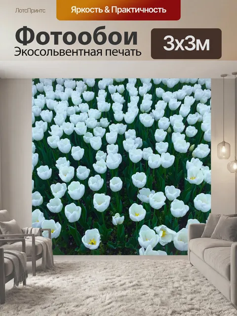 Фотообои Тюльпан