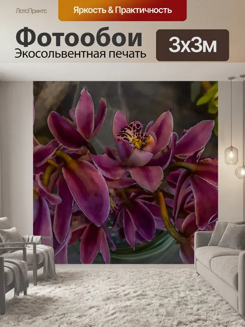 Фотообои Розовые орхидеи