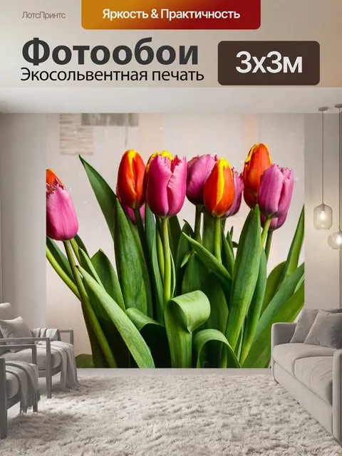 Фотообои Тюльпаны