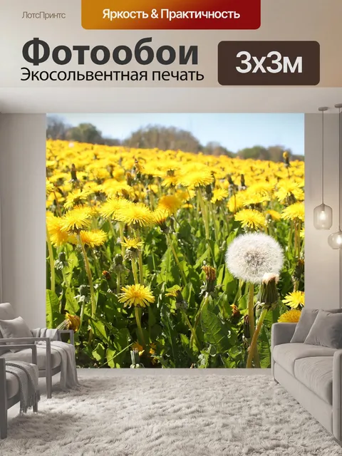 Фотообои Одуванчик