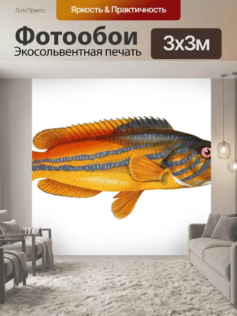 Фотообои Рыба Тропическая Винтаж