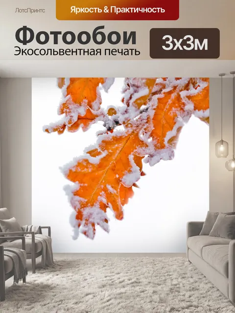 Фотообои Зимние листья