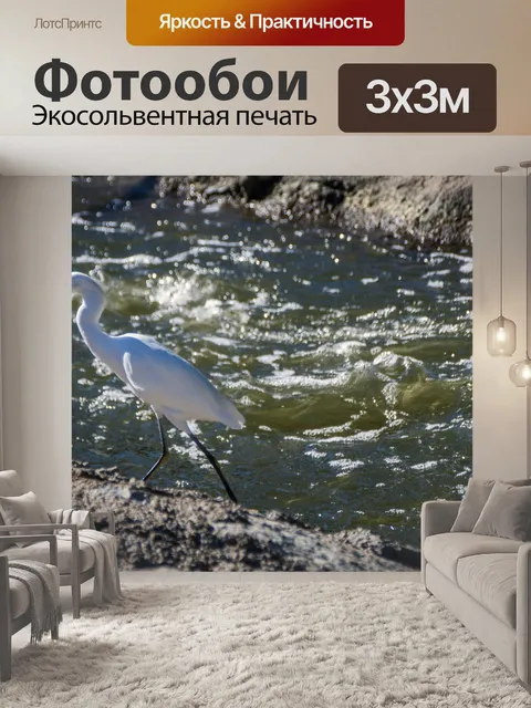 Фотообои Большая белая цапля