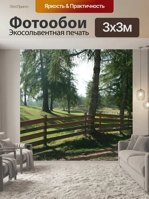 Фотообои Лес