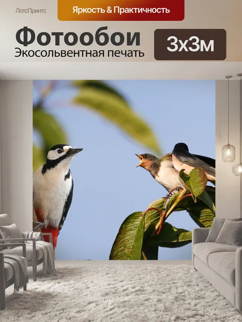 Фотообои Птицы