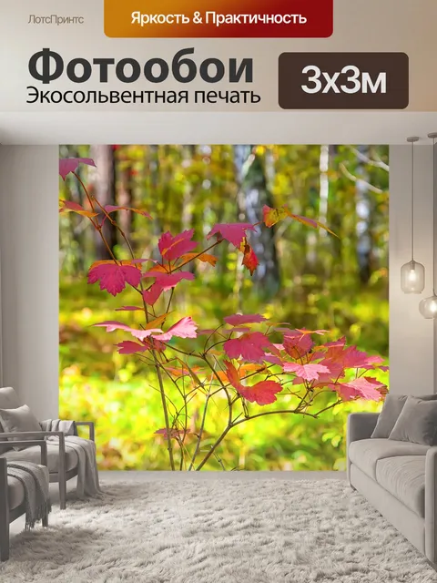 Фотообои Осень