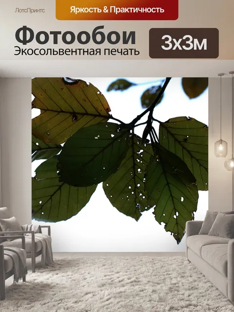 Фотообои Осенние листья