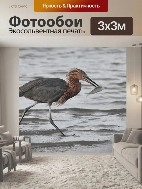 Фотообои Птица