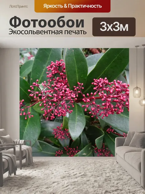 Фотообои Буш с красными ягодами