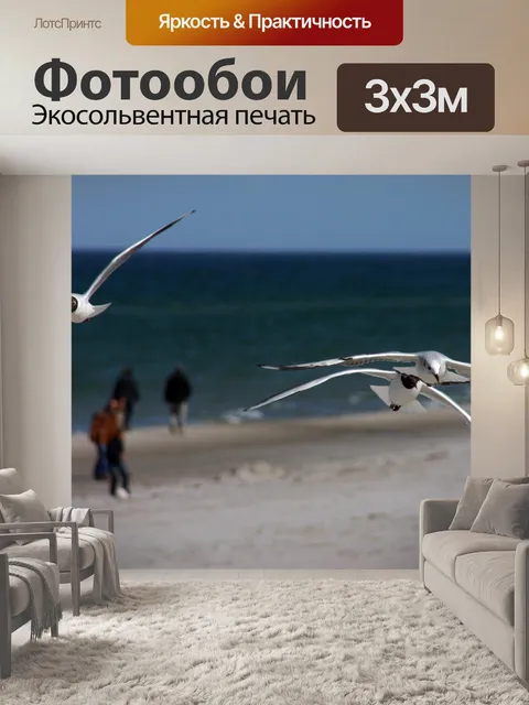 Фотообои Чайка