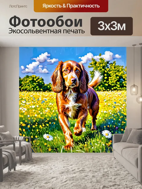 Фотообои изображение английского кокер-спаниеля, гуляющего по цветочному полю в солнечный день