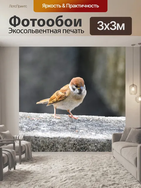 Фотообои Птица