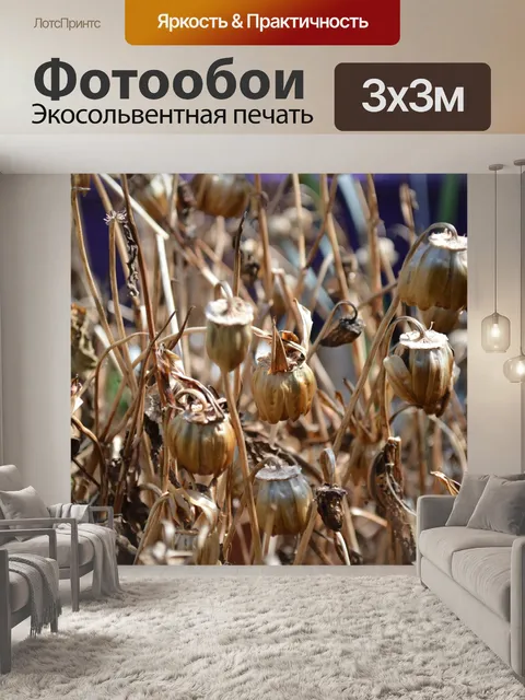 Фотообои Природа