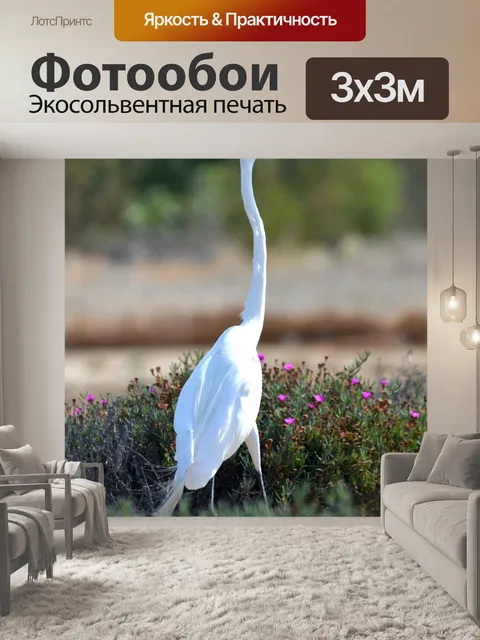 Фотообои Цапля