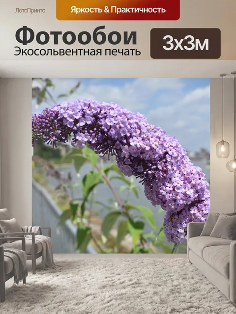 Фотообои Flower