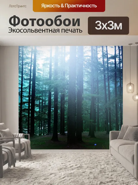 Фотообои Сосновый лес фоне