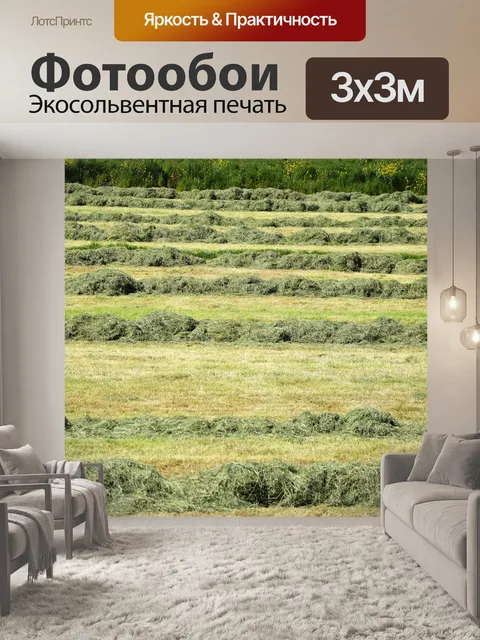 Фотообои Голландский пейзаж