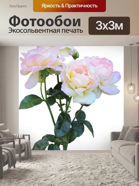 Фотообои Розы