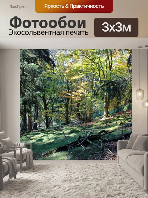 Фотообои Лес