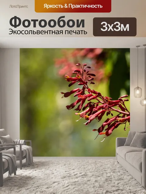 Фотообои Цветы