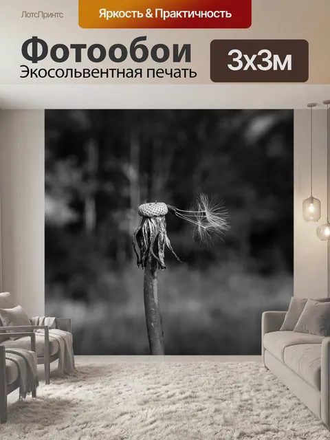 Фотообои Осот огородный