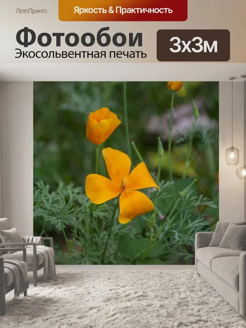 Фотообои мак