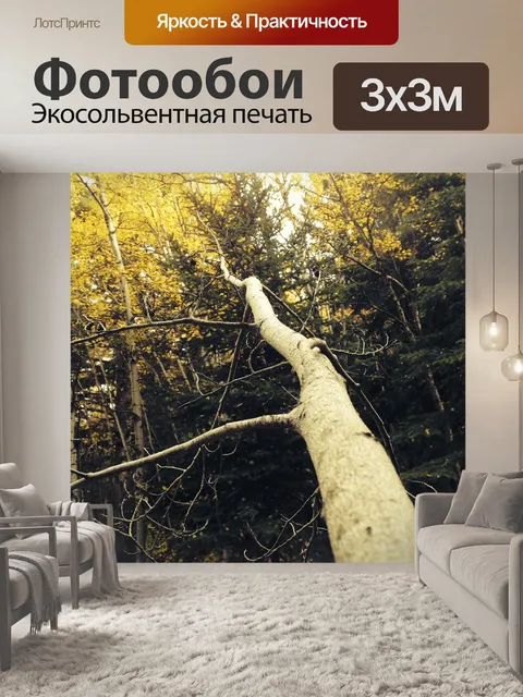 Фотообои Деревья