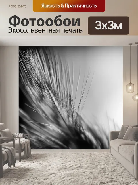 Фотообои Перо