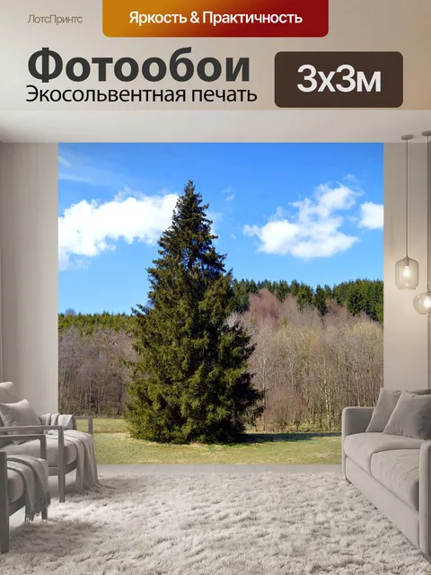 Фотообои Ель