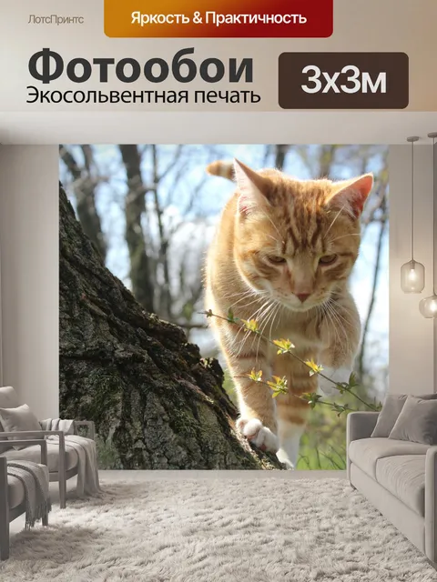 Фотообои Кошка