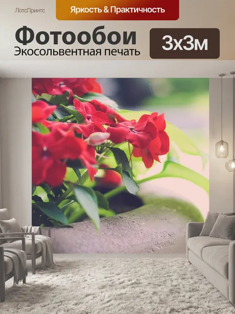 Фотообои Красивый