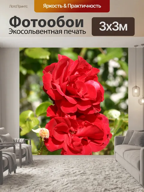 Фотообои Розы