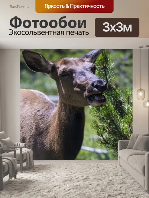 Фотообои Олень